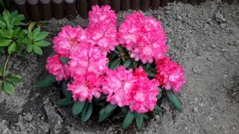 20150518_125512.webp