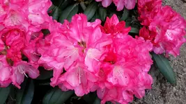 20150518_125524.jpg