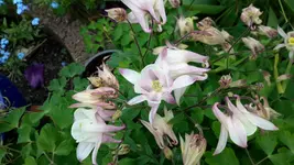 20150518_125409.webp
