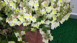20150518_125420.webp