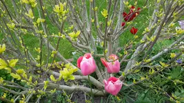 20150518_125444.webp