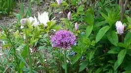 20150518_125603.webp