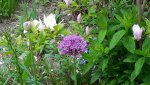 20150518_125603.jpg