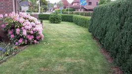 20150518_1626293.webp