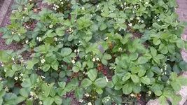 20150518_175112.webp