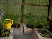 20150517 004.webp
