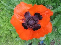 012.webp