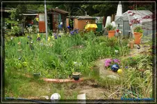comp_DSC03460.webp