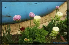 comp_DSC03485.webp