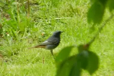 DSCN4926.webp