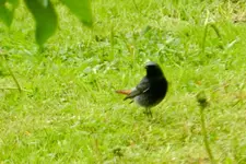 DSCN4930.webp