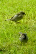 DSCN4935.webp