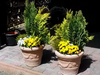 2015-05-15     Noch kein Ruhestand.webp