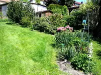2015-05-15 Rhodo- u. Yucca- Quartier.webp