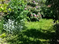 2015-05-15 schon lauschig im Obergarten.webp