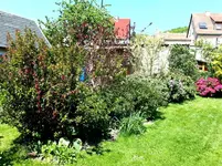 2015-05-15 Westflanke wird dicht.webp