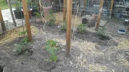 SAM_4069.webp
