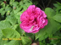 IMG_4538.webp