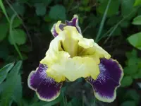 P1390047.webp