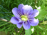 P1370370.webp