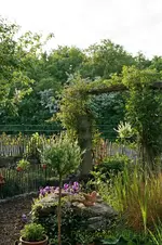 Rosenbogen.webp