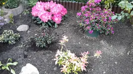 20150519_195621.webp