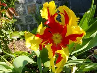 DSCF9227.webp