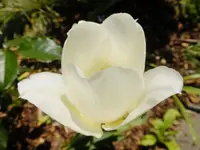 DSCF9224.webp