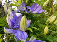 DSCF9265.webp