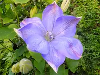DSCF9263.webp