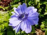 DSCF9220.webp