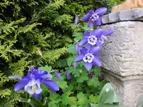 DSCF9274.webp