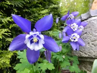 DSCF9271.webp