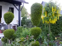 DSCF9312.webp