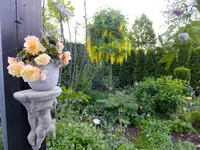 DSCF9306.webp