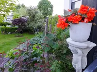 DSCF9308.webp