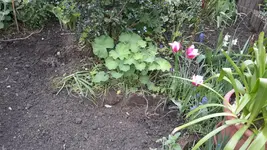 20150519_195606.webp