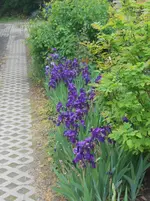 DSCN2365.webp