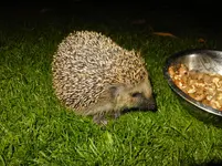 DSCF9014.webp
