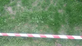 20150519_063851.webp
