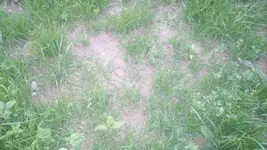 20150519_063858.webp