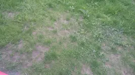 20150519_070326.webp