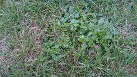 DSC_0262_1.webp