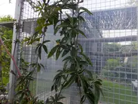DSCF9029.webp