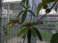 DSCF9030.webp
