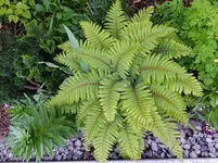 DSCF9036.webp