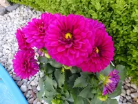 DSCF9058.webp