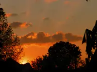 DSCN4435a.webp