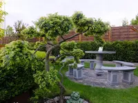 DSCF9068.webp