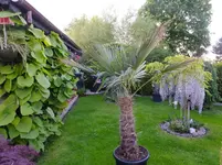 DSCF9070.webp